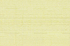 тэфи 04