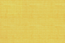 тэфи 09